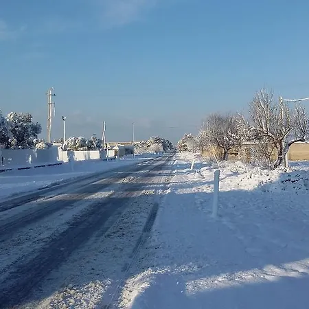 Mazzara Farm לינה וארוחת בוקר