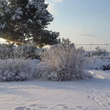 Mazzara Farm לינה וארוחת בוקר 4*