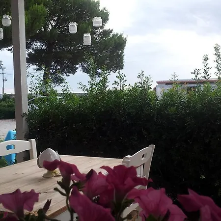 Mazzara Farm לינה וארוחת בוקר