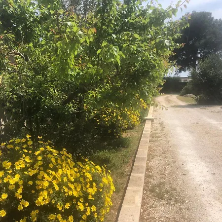 Mazzara Farm 3* Manduria