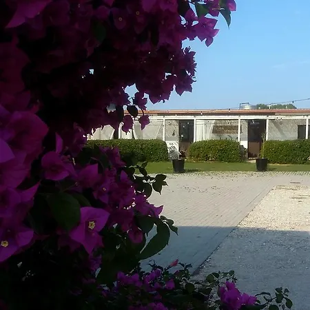 Mazzara Farm