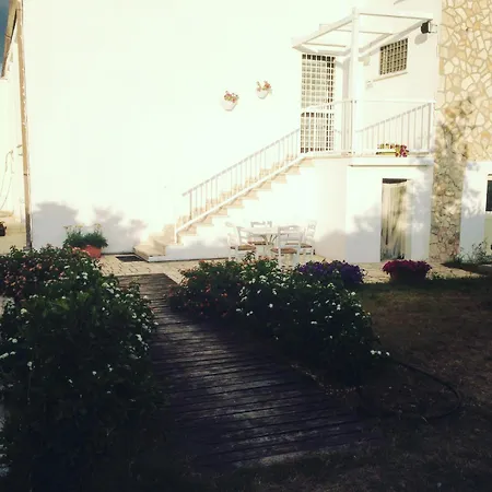 Mazzara Farm